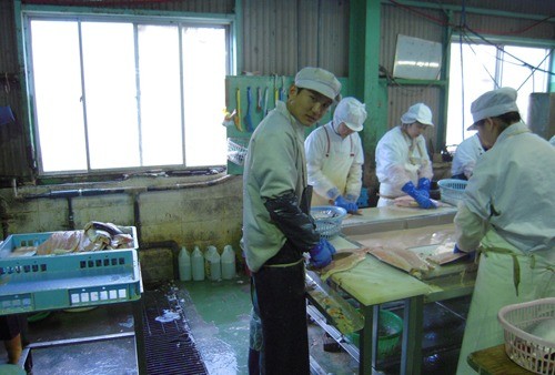 日本_时政|日本记者：中国人不再向往赴日本工作