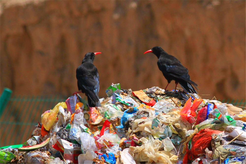 比如说对空气,水源的需求,就会造成环境污染,而对粮食的需求就会引发