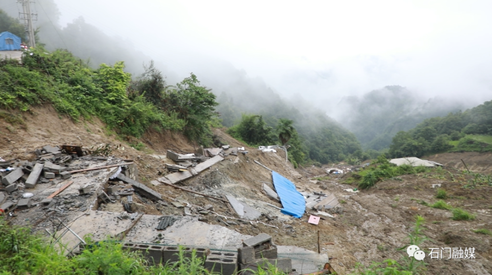 山体滑坡石门这位村妇女主任放弃自家近400头生猪只为了