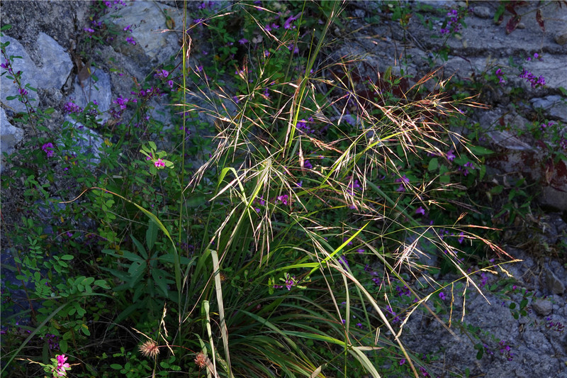 北京|隐藏在北京深山，人少、景美如世外桃源，感受新发现的人间仙境