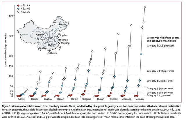 喝酒|只尝鲜不贪杯？适量喝酒对身体真的有好处吗？