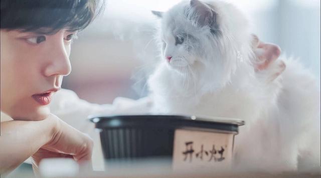 肖战|开小灶体验店场面火爆，背景墙写满祝福，老奶奶给肖战留言抢镜