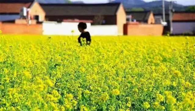 密云区|刚刚公布！密云这俩村在全国出名了！快看看是哪里？