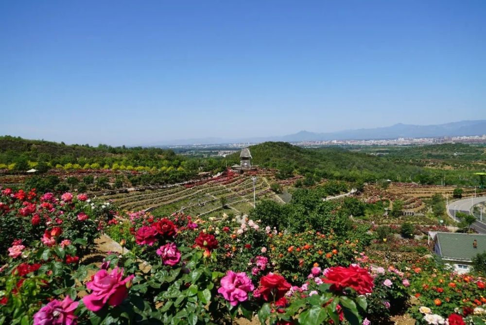 密云区|刚刚公布！密云这俩村在全国出名了！快看看是哪里？