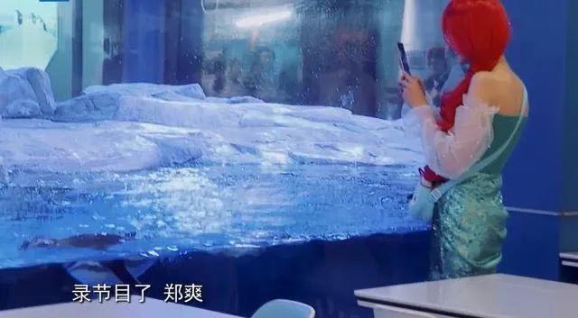 郑爽|偶像包袱太重的郑爽，上综艺划水玩游戏作弊，水都要“假喝”？