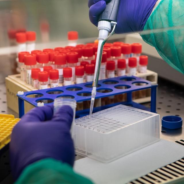 美国_社会|美国德州有85名不到2岁的婴儿感染新冠，无法严格与家人隔离