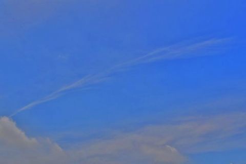 西海子公园|周末市民游园赏景