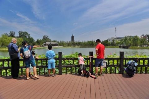 西海子公园|周末市民游园赏景