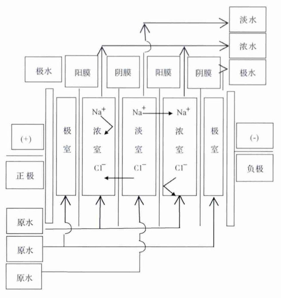 肾功能|海洋动物喝水各显神通，有的肾功能极其强大，有的自带高科技