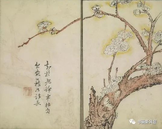 芥子园画传|康熙彩版《芥子园画传—梅兰竹菊》，太难得了！