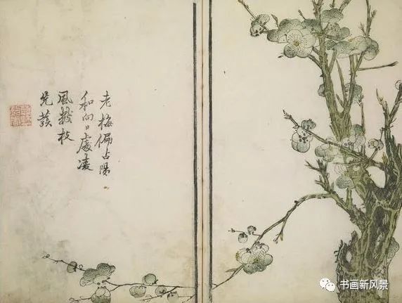 芥子园画传|康熙彩版《芥子园画传—梅兰竹菊》，太难得了！