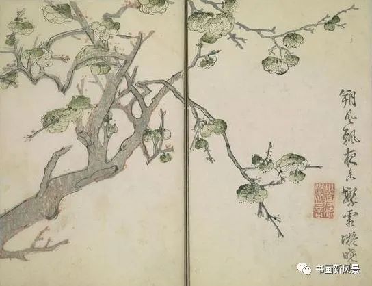 芥子园画传|康熙彩版《芥子园画传—梅兰竹菊》，太难得了！