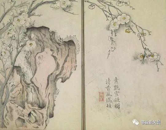 芥子园画传|康熙彩版《芥子园画传—梅兰竹菊》，太难得了！