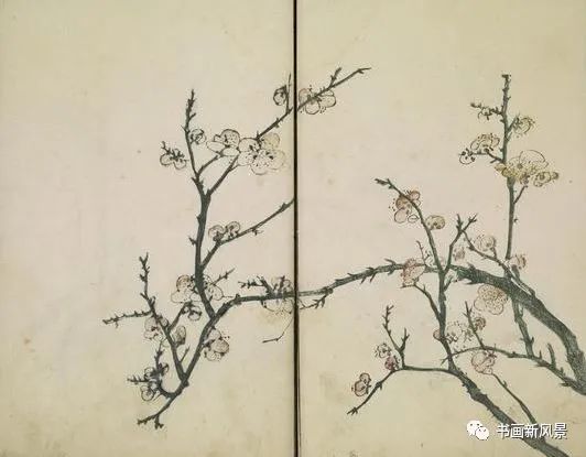 芥子园画传|康熙彩版《芥子园画传—梅兰竹菊》，太难得了！