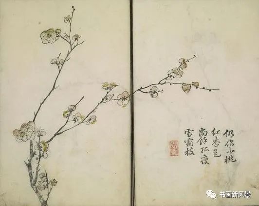 芥子园画传|康熙彩版《芥子园画传—梅兰竹菊》，太难得了！