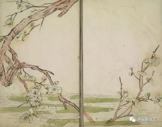 芥子园画传|康熙彩版《芥子园画传—梅兰竹菊》，太难得了！