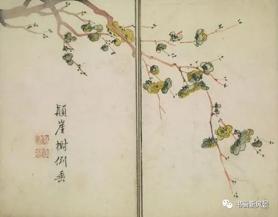 芥子园画传|康熙彩版《芥子园画传—梅兰竹菊》，太难得了！