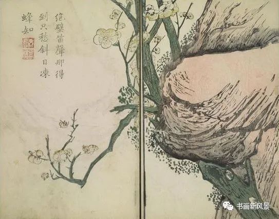 芥子园画传|康熙彩版《芥子园画传—梅兰竹菊》，太难得了！