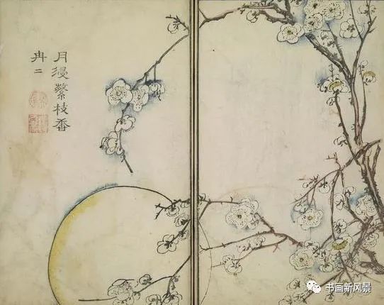 芥子园画传|康熙彩版《芥子园画传—梅兰竹菊》，太难得了！