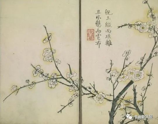 芥子园画传|康熙彩版《芥子园画传—梅兰竹菊》，太难得了！