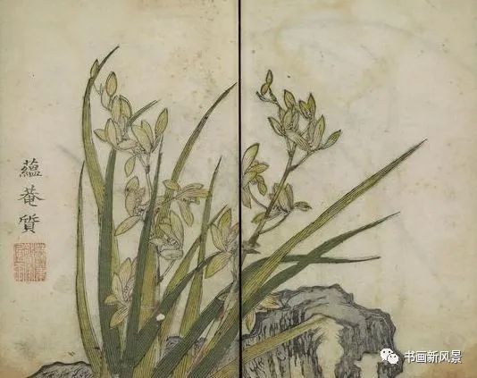 芥子园画传|康熙彩版《芥子园画传—梅兰竹菊》，太难得了！