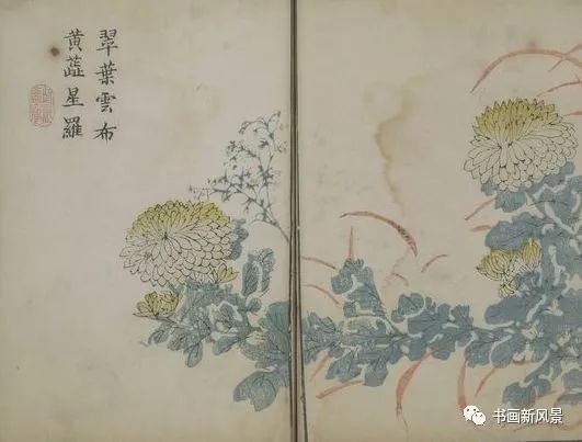 芥子园画传|康熙彩版《芥子园画传—梅兰竹菊》，太难得了！
