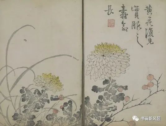 芥子园画传|康熙彩版《芥子园画传—梅兰竹菊》，太难得了！