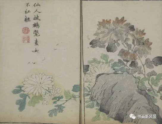 芥子园画传|康熙彩版《芥子园画传—梅兰竹菊》，太难得了！