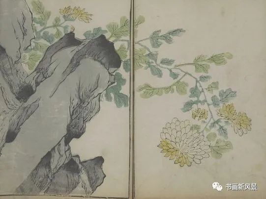 芥子园画传|康熙彩版《芥子园画传—梅兰竹菊》，太难得了！