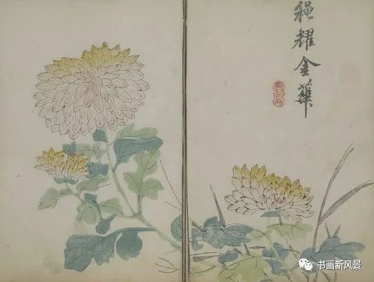 芥子园画传|康熙彩版《芥子园画传—梅兰竹菊》，太难得了！