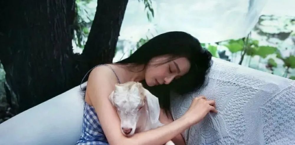 范冰冰|范冰冰，这状态，莫名让人心酸！