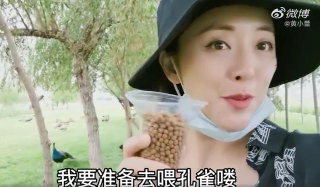 黄小蕾|黄小蕾高调晒女儿，相恋38天闪婚嫁高富帅，肚子不大破怀孕传闻