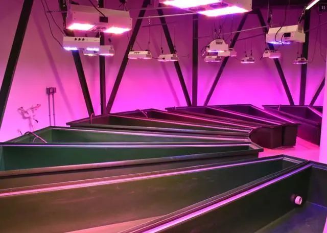 导弹发射井|富豪版末日避难所曝光：导弹发射井改装，内部极奢华