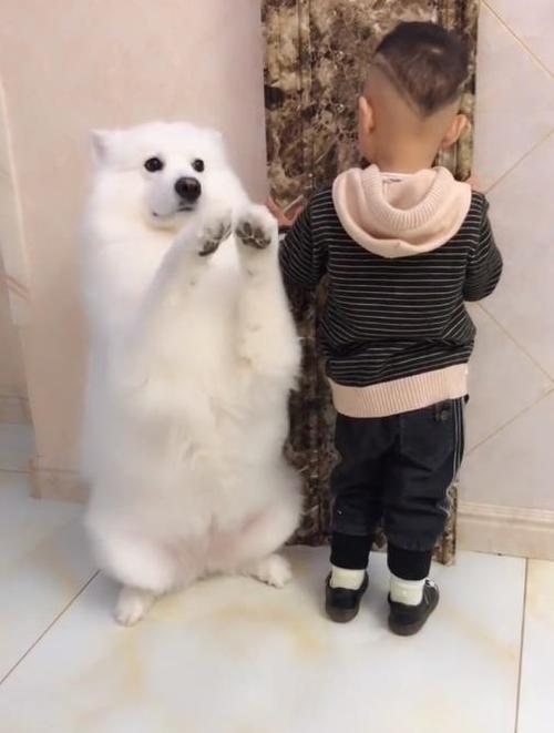 "面壁思过"宝宝走红,犯错主动领罚,爸爸"怂做法"成亮点