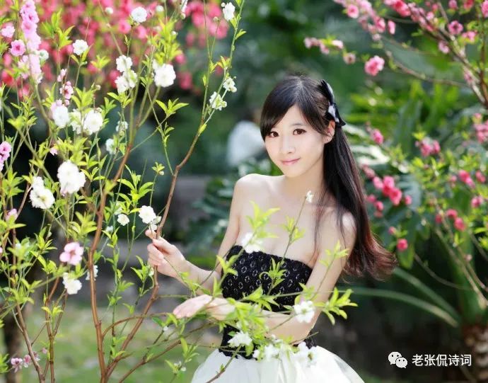 古诗词|一直觉得“芳心”是极美的词，没想到它的出处，还是一首古诗词