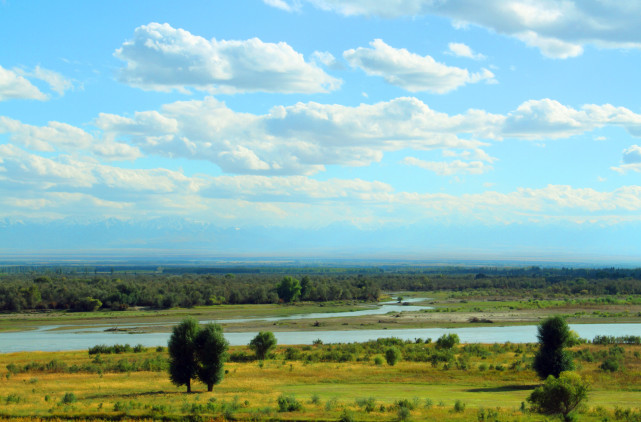 当下真正的雅利安人是谁为什么总有一些人喜欢拿他们当祖宗