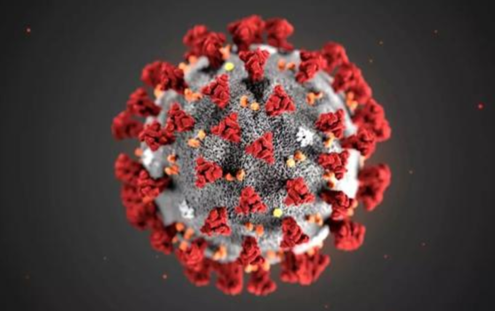 新冠病毒|新疆疫情源头找到了吗？如何防御新冠病毒？