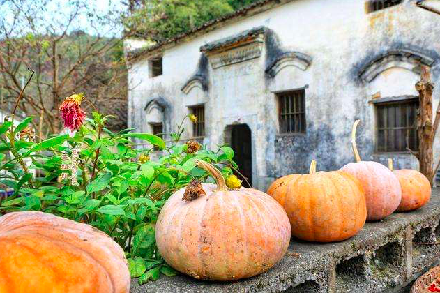 妇女|唐代诗人为农家妇女写下一诗，通篇都是大白话，却发人深思