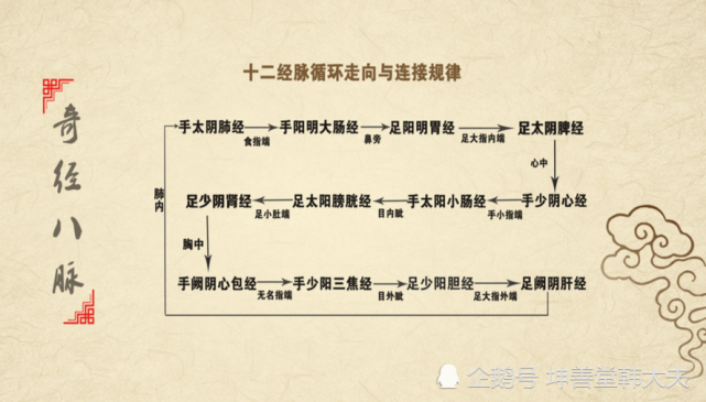 十二经脉的名称是根据脏腑,手足,阴阳而定的.