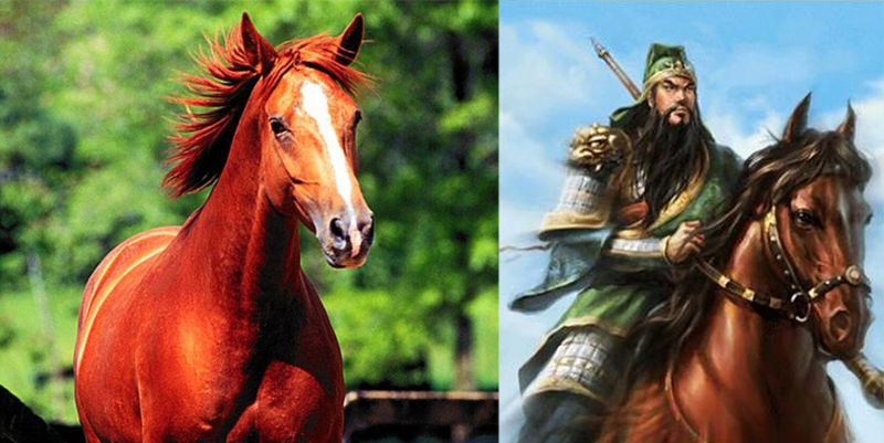 中国古代十大名马中国历史最著名的马有哪些 腾讯新闻