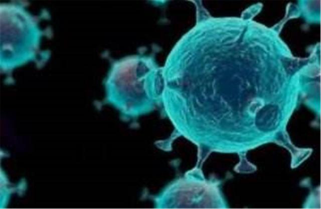 新冠|西北邻国爆发不明肺炎，致死率超新冠，当地美军实验室意外成焦点