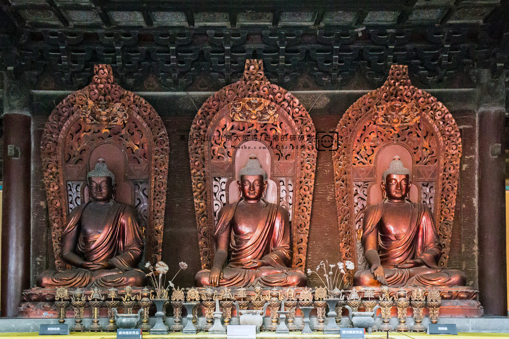 大觉寺|漫步古刹，身随清风，探秘北京西山大觉寺