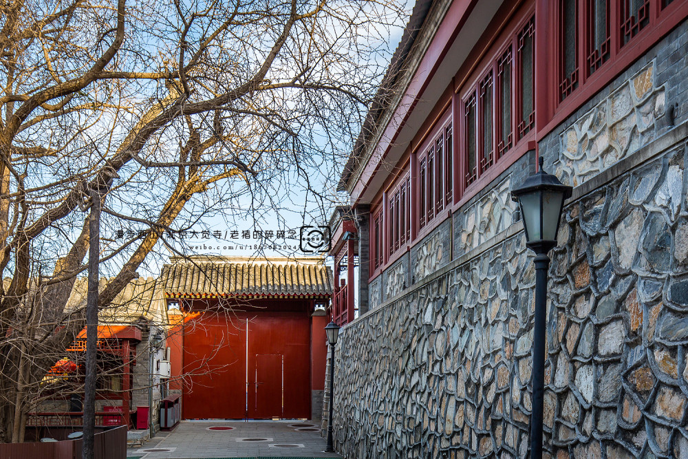大觉寺|漫步古刹，身随清风，探秘北京西山大觉寺
