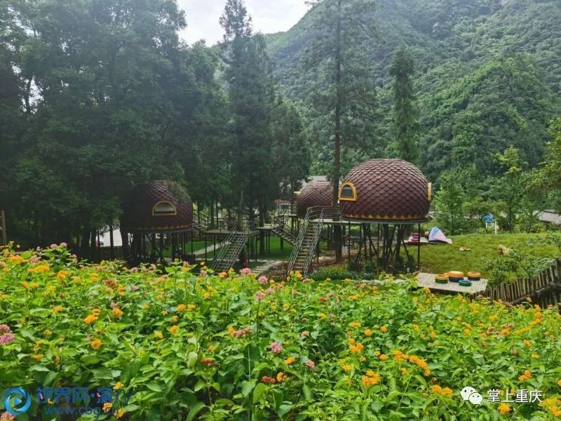 南川金佛山星空露营基地开园