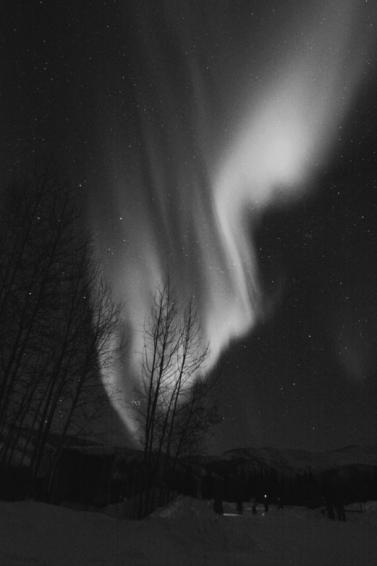 紫外线|夏日如何“浪”而不黑？对付紫外线，你需要了解这些