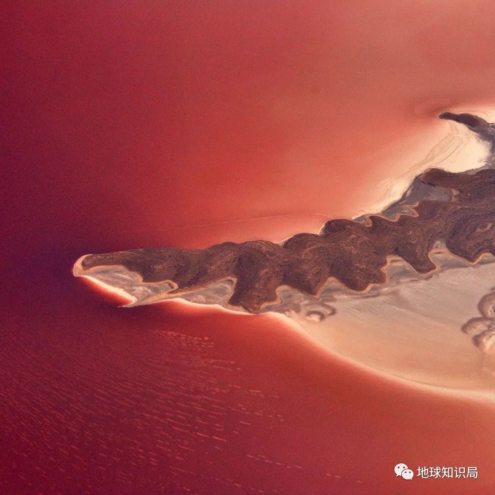 水资源|伊朗，抢救第一大湖