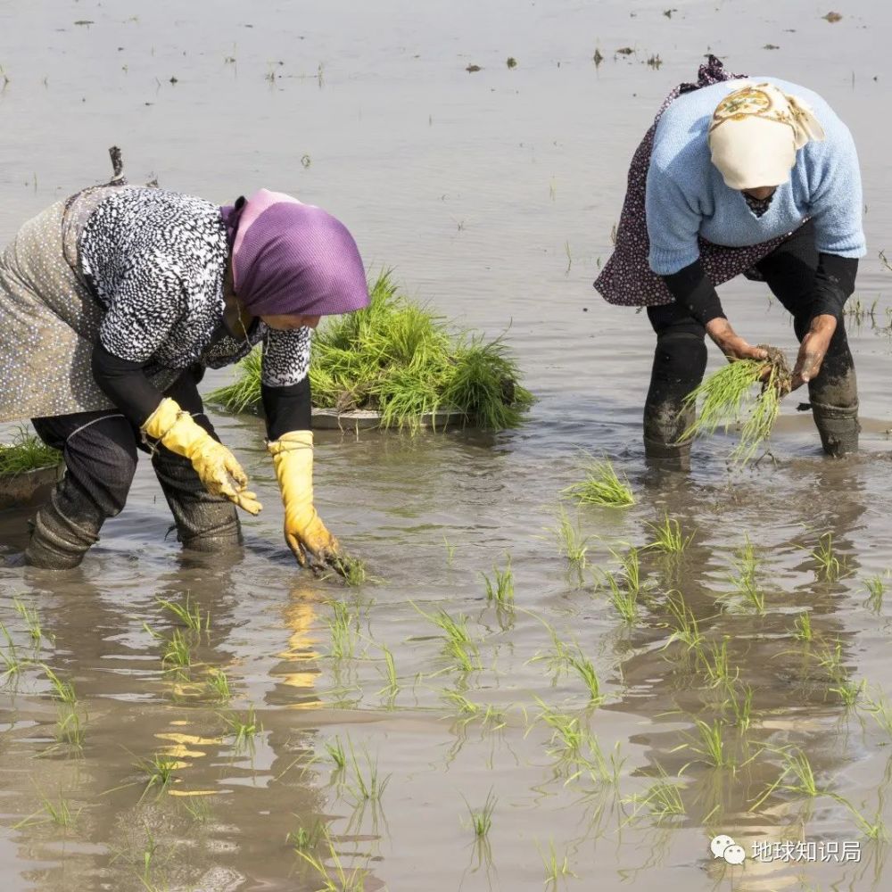 水资源|伊朗，抢救第一大湖