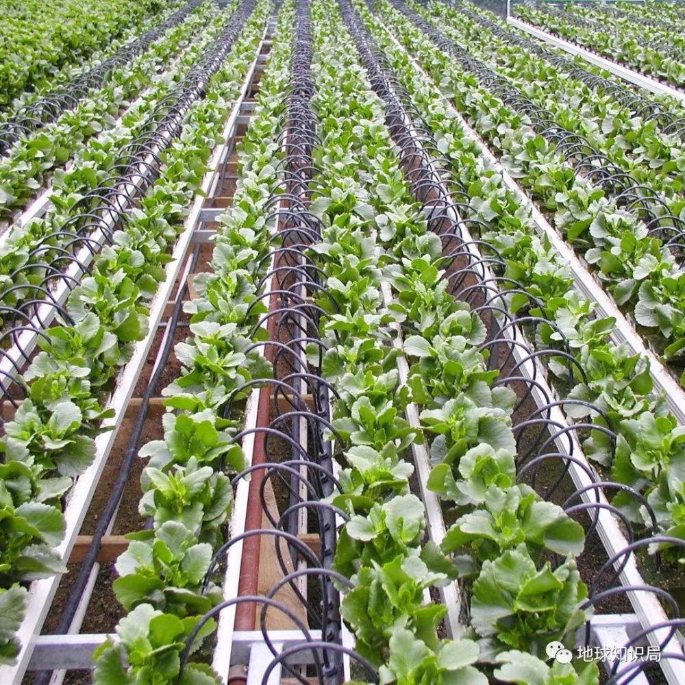 水资源|伊朗，抢救第一大湖