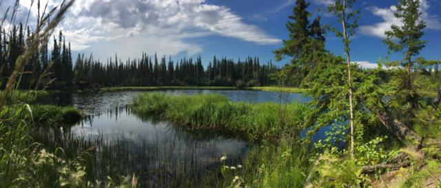 远古生物|北极甲烷释放已占4％，远古生物可能被唤醒，地球已经“病了”？