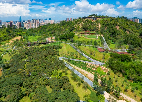 深灣街心公園西麗生態公園南山建成兩海綿型公園